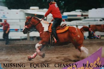 MISSING EQUINE CHASSEY WA Near Butler Hillls, WA, 98273